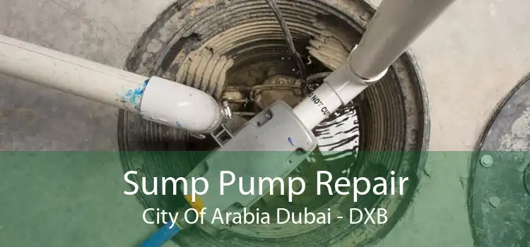 Sump Pump Repair City Of Arabia Dubai - DXB