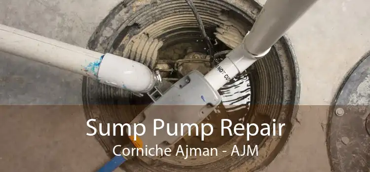 Sump Pump Repair Corniche Ajman - AJM