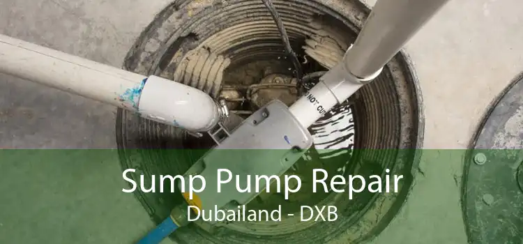 Sump Pump Repair Dubailand - DXB