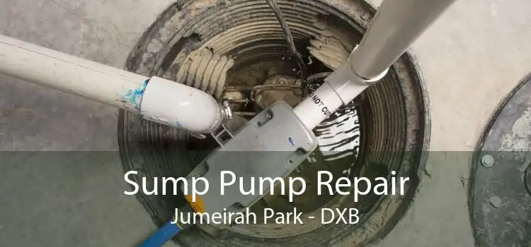 Sump Pump Repair Jumeirah Park - DXB