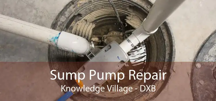 Sump Pump Repair Knowledge Village - DXB