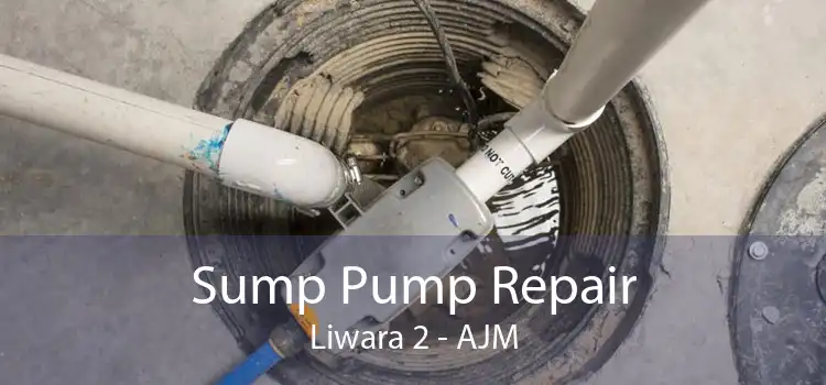 Sump Pump Repair Liwara 2 - AJM