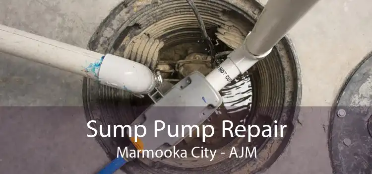 Sump Pump Repair Marmooka City - AJM