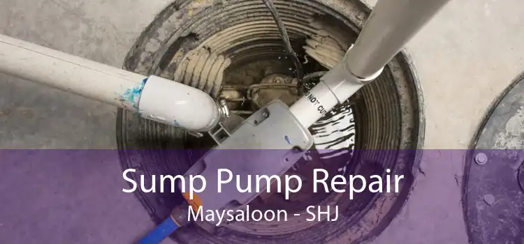 Sump Pump Repair Maysaloon - SHJ