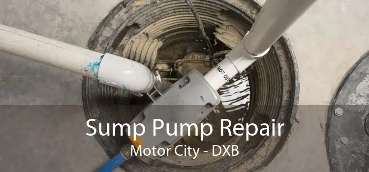 Sump Pump Repair Motor City - DXB