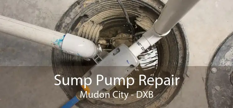 Sump Pump Repair Mudon City - DXB