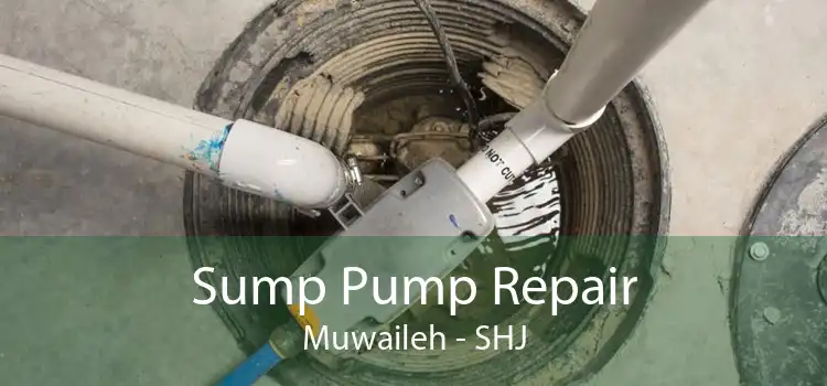 Sump Pump Repair Muwaileh - SHJ