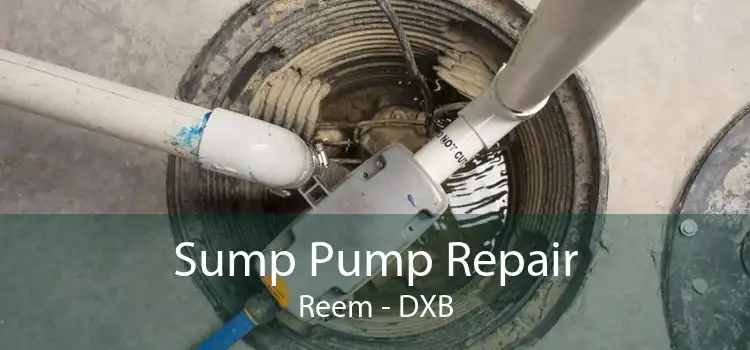 Sump Pump Repair Reem - DXB