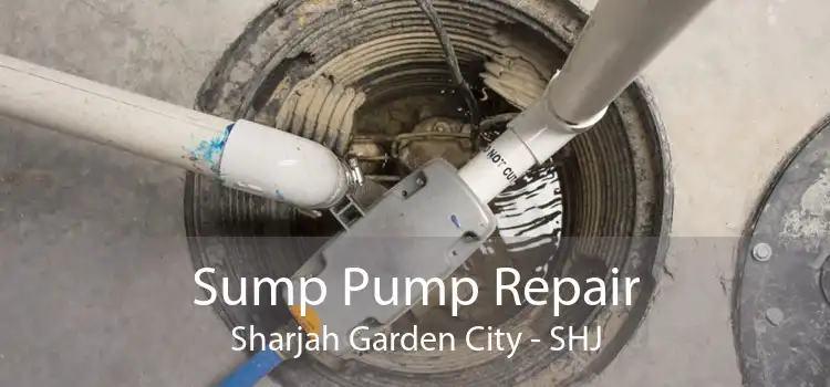 Sump Pump Repair Sharjah Garden City - SHJ