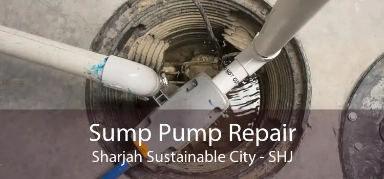 Sump Pump Repair Sharjah Sustainable City - SHJ