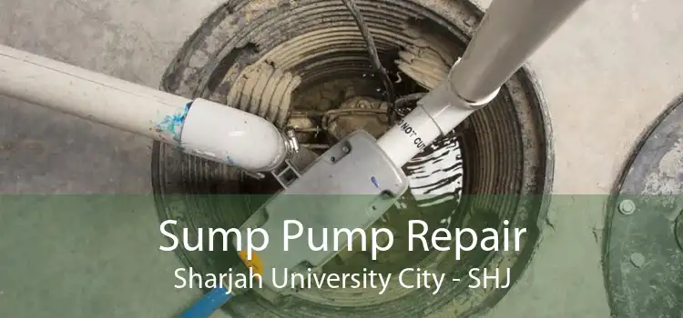 Sump Pump Repair Sharjah University City - SHJ