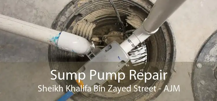 Sump Pump Repair Sheikh Khalifa Bin Zayed Street - AJM