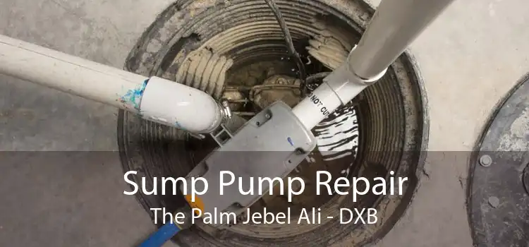 Sump Pump Repair The Palm Jebel Ali - DXB