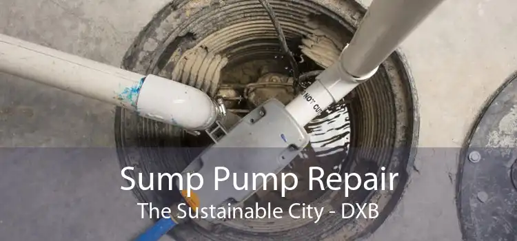 Sump Pump Repair The Sustainable City - DXB