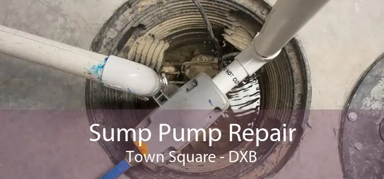 Sump Pump Repair Town Square - DXB