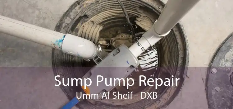 Sump Pump Repair Umm Al Sheif - DXB