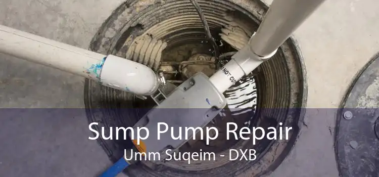 Sump Pump Repair Umm Suqeim - DXB