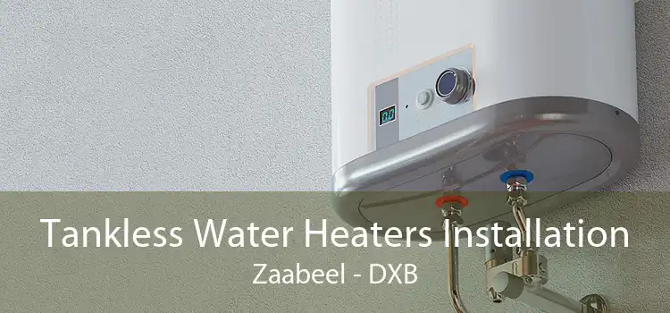 Tankless Water Heaters Installation Zaabeel - DXB