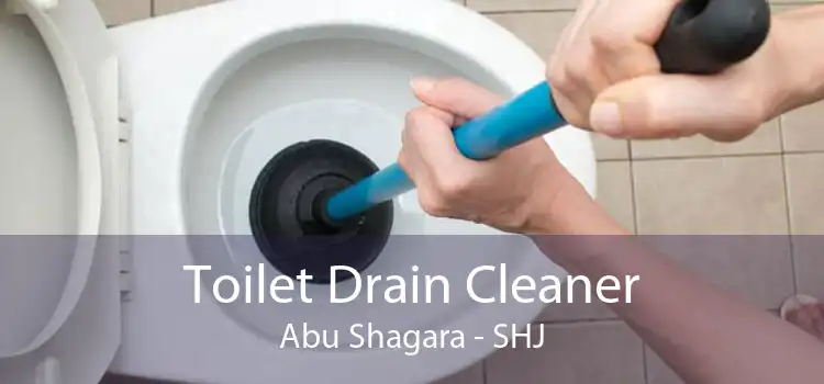 Toilet Drain Cleaner Abu Shagara - SHJ