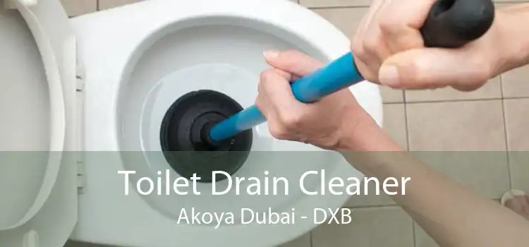 Toilet Drain Cleaner Akoya Dubai - DXB