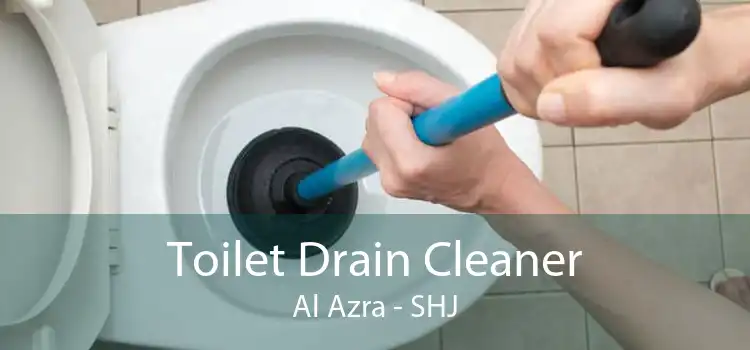 Toilet Drain Cleaner Al Azra - SHJ