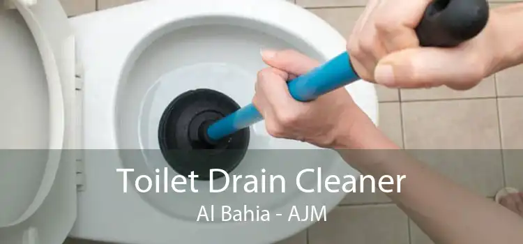 Toilet Drain Cleaner Al Bahia - AJM