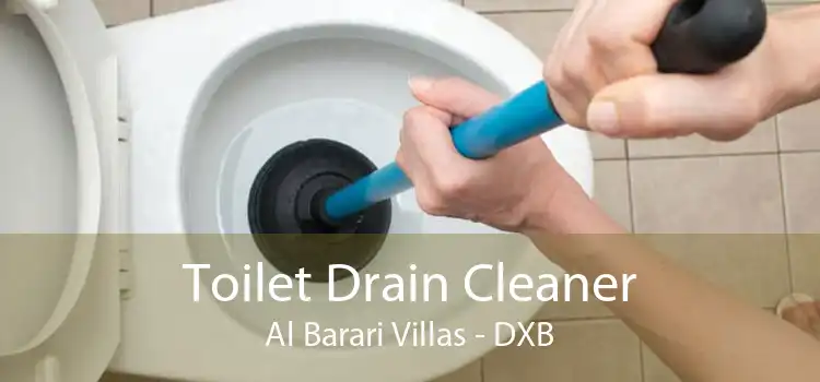 Toilet Drain Cleaner Al Barari Villas - DXB