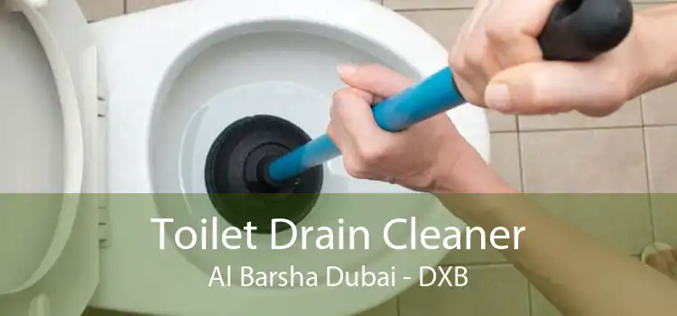 Toilet Drain Cleaner Al Barsha Dubai - DXB