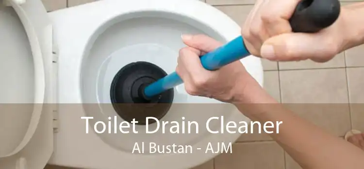 Toilet Drain Cleaner Al Bustan - AJM