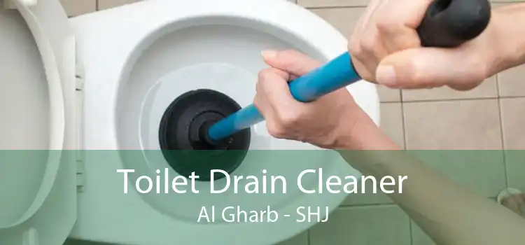 Toilet Drain Cleaner Al Gharb - SHJ