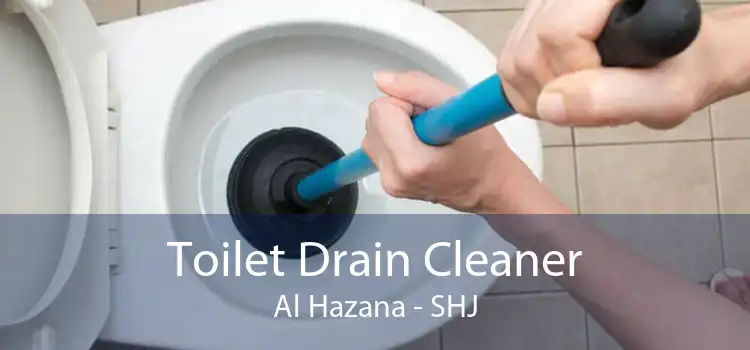 Toilet Drain Cleaner Al Hazana - SHJ