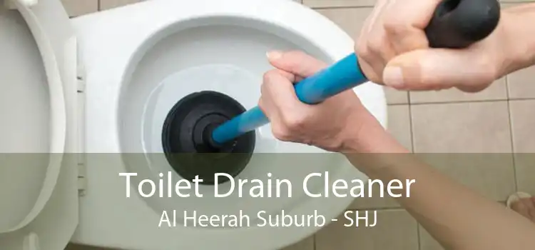 Toilet Drain Cleaner Al Heerah Suburb - SHJ