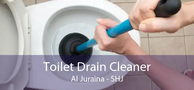 Toilet Drain Cleaner Al Juraina - SHJ