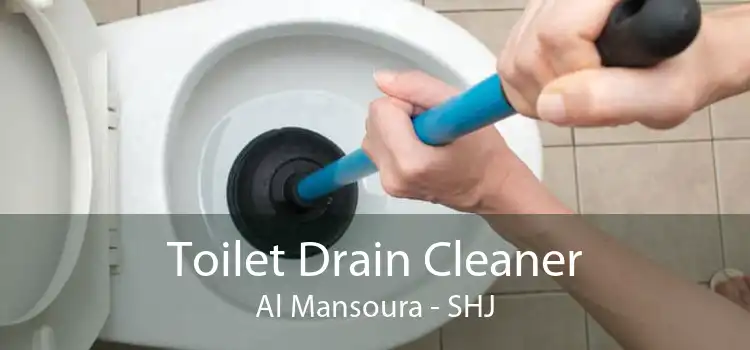 Toilet Drain Cleaner Al Mansoura - SHJ