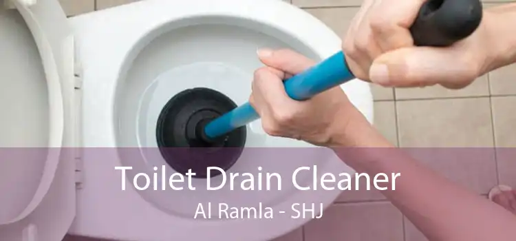 Toilet Drain Cleaner Al Ramla - SHJ