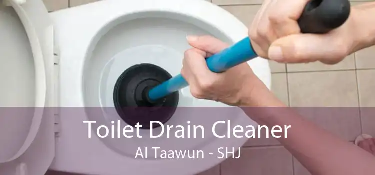 Toilet Drain Cleaner Al Taawun - SHJ