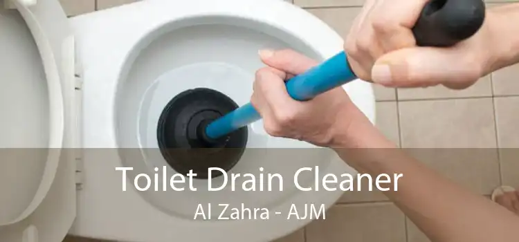 Toilet Drain Cleaner Al Zahra - AJM