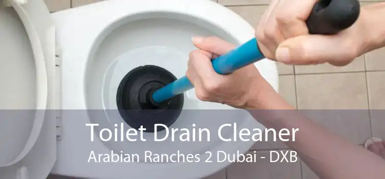 Toilet Drain Cleaner Arabian Ranches 2 Dubai - DXB