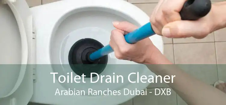 Toilet Drain Cleaner Arabian Ranches Dubai - DXB