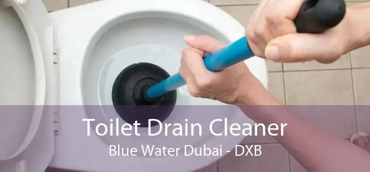 Toilet Drain Cleaner Blue Water Dubai - DXB