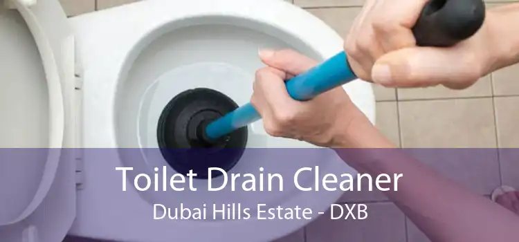 Toilet Drain Cleaner Dubai Hills Estate - DXB