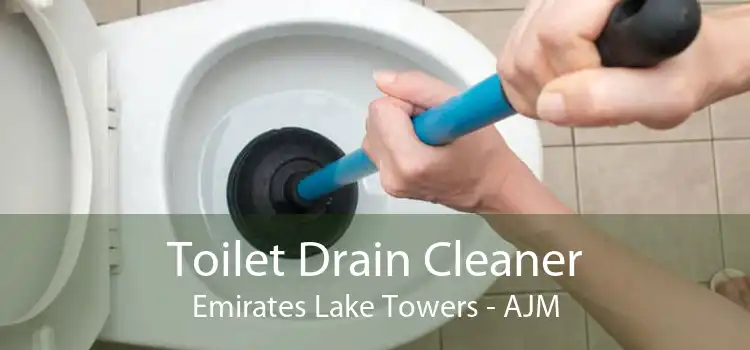 Toilet Drain Cleaner Emirates Lake Towers - AJM