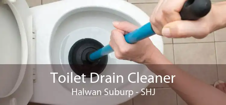 Toilet Drain Cleaner Halwan Suburp - SHJ