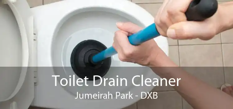 Toilet Drain Cleaner Jumeirah Park - DXB