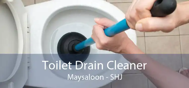 Toilet Drain Cleaner Maysaloon - SHJ