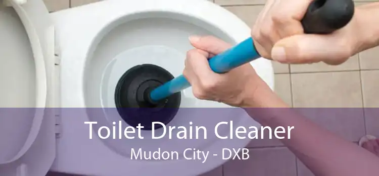 Toilet Drain Cleaner Mudon City - DXB