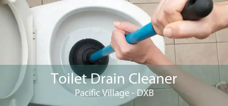 Toilet Drain Cleaner Pacific Village - DXB