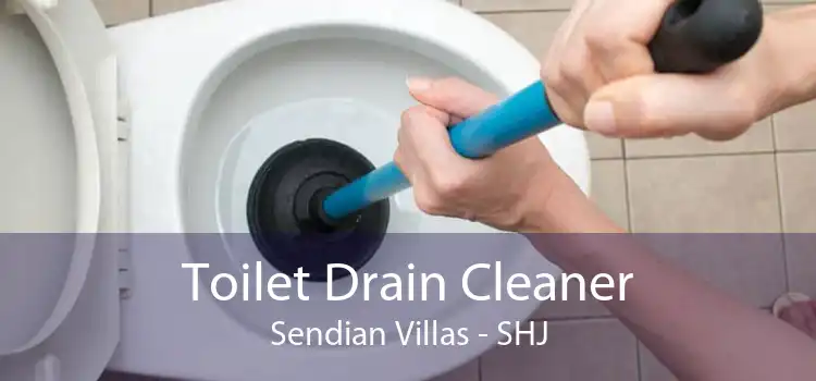 Toilet Drain Cleaner Sendian Villas - SHJ