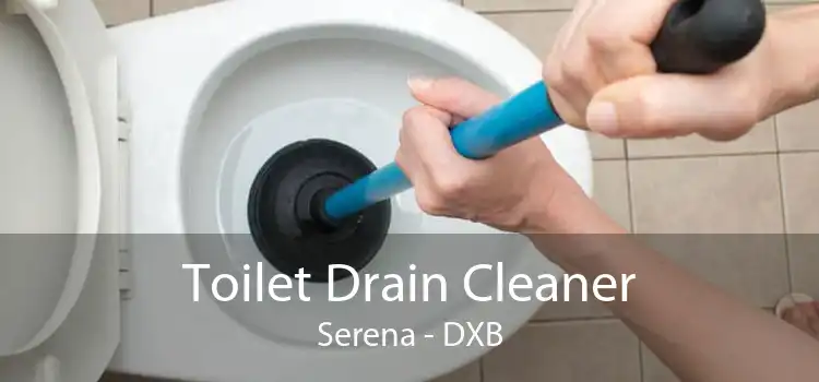 Toilet Drain Cleaner Serena - DXB