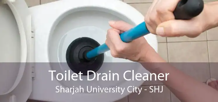 Toilet Drain Cleaner Sharjah University City - SHJ